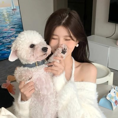 弱比少男闯女校封面